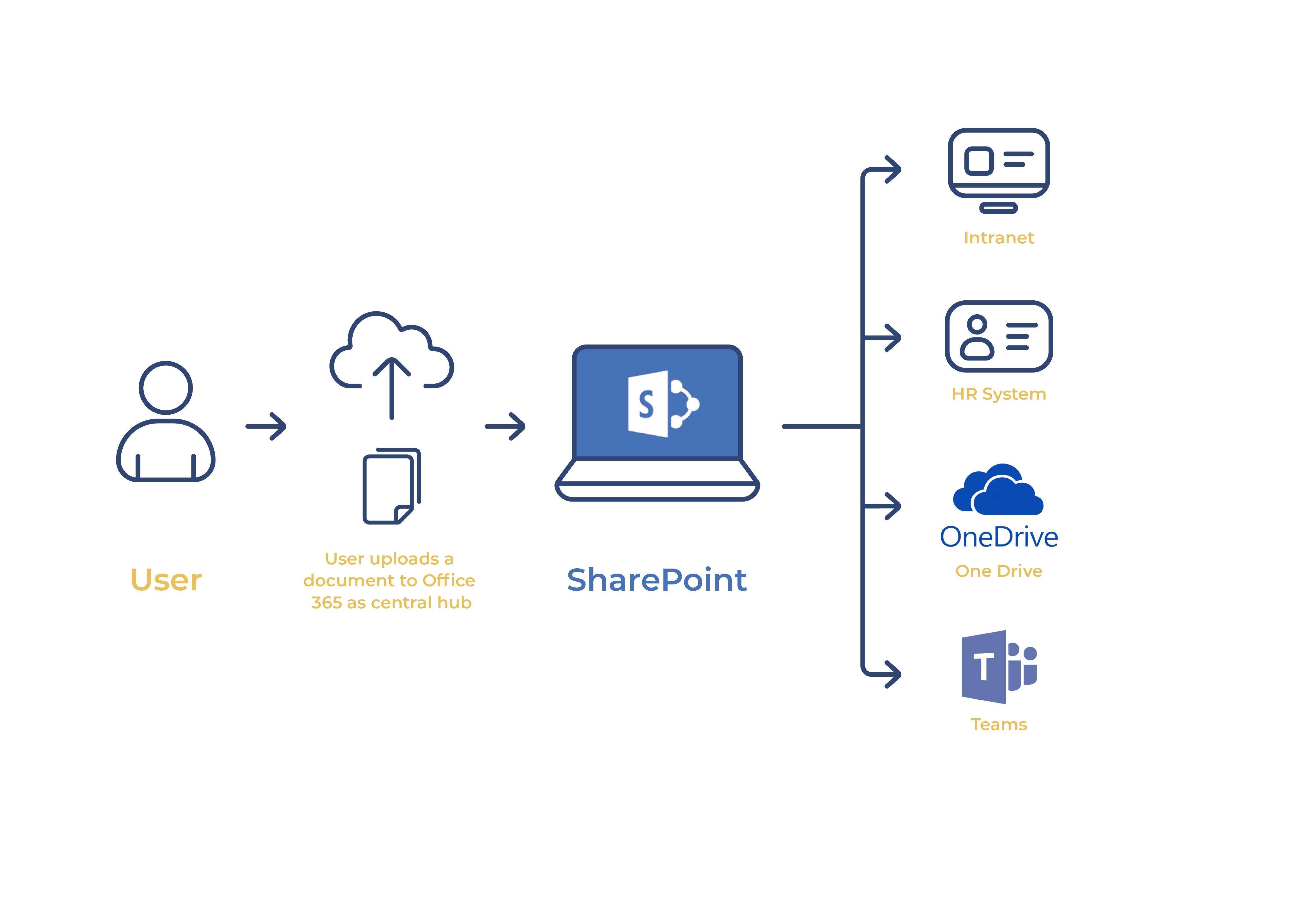 Document_Management_Graphic_V1